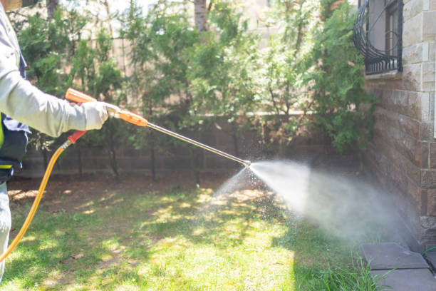 Best Cockroach Control Services  in Brookside, NJ