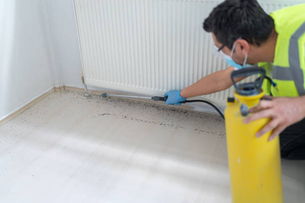 Best Affordable Pest Control Services  in Brookside, NJ